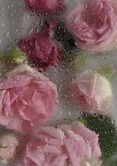 ADHDの私普通の弟と有名な兄