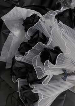 YouTuberの私と有名な兄