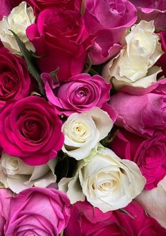 エッセイ本『虹色の空には何が見えるの』　Asaenn