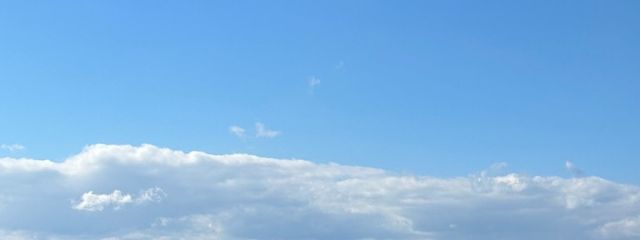 みみ さんの壁紙画像