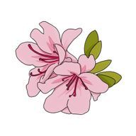 みみ さんのアイコン画像