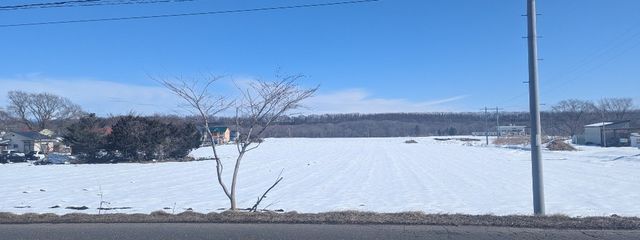 りくさんの壁紙画像