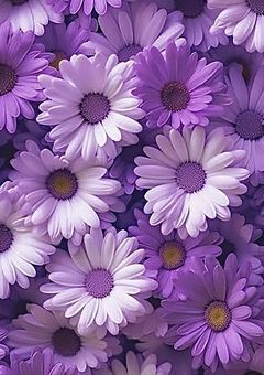 踏んだり蹴ったり、愛したり