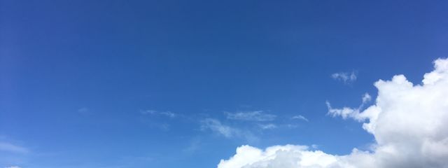 由宇さんの壁紙画像