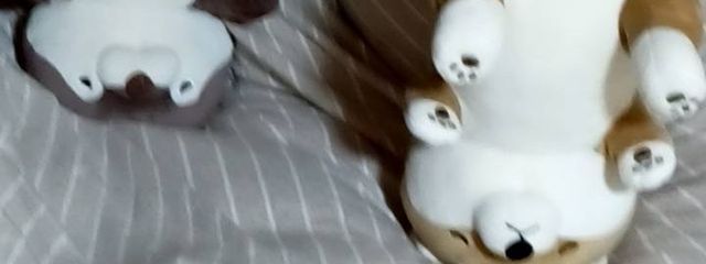 茉さんの壁紙画像