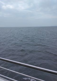 勇者と魔王と聖魔王（更新停止中）