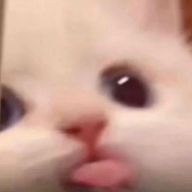 のあさんのアイコン画像