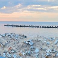 💚💗さんのアイコン画像