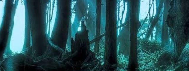 雷智さんの壁紙画像