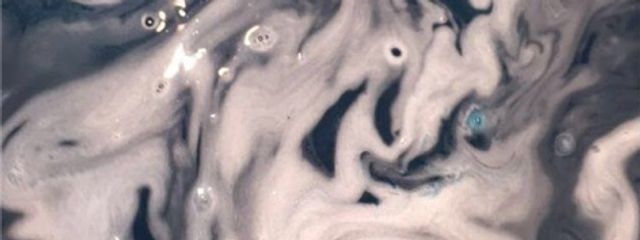 せいらんさんの壁紙画像