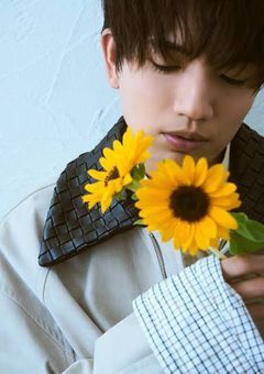 推しが彼氏になった件。