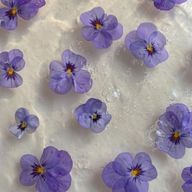 雨海さんのアイコン画像