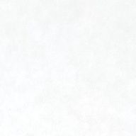 aoさんのアイコン画像