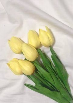 優しさを、失った。