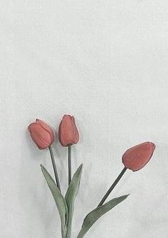 作詞部屋