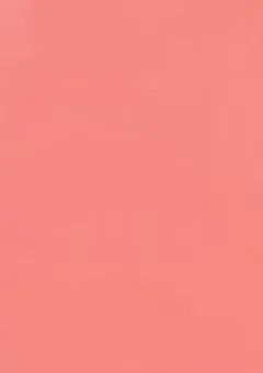 "　いや、私たちただの義兄妹ですが。【 akn 】