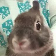 YouTube好きさんのアイコン画像