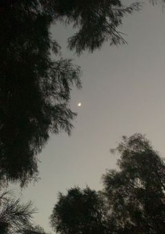 The person of my destiny