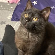 MeiKaiさんのアイコン画像