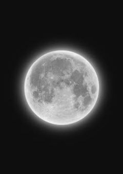 お願い…もう殺さないで…！