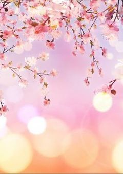 桜舞い散る
