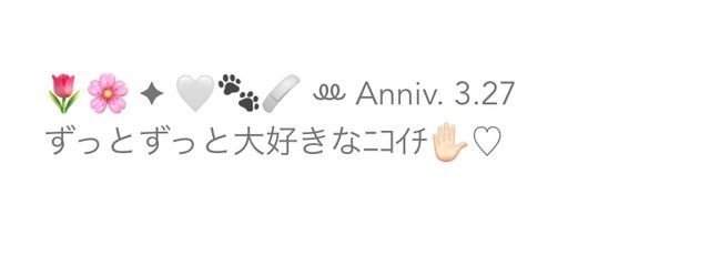   白瀬 凛生さんの壁紙画像