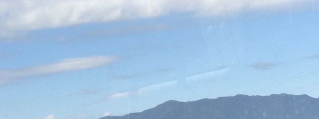 うさちゃ　旧さんの壁紙画像