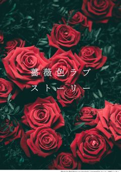 薔薇色ラブストーリー