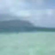 kaoriさんのアイコン画像