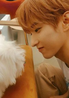 CALL CALL CALL !（更新停止中