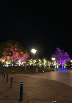 はげたくりの実写&雑談部屋！