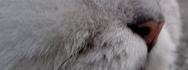 名無しさんの壁紙画像