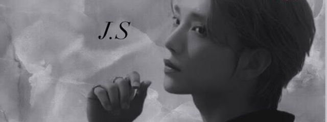 柴犬さんの壁紙画像