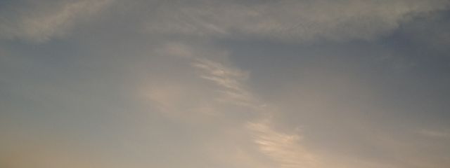 tuki.さんの壁紙画像