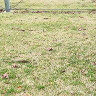 ちはさんのアイコン画像