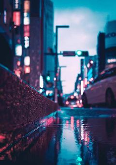雨 の 日 に 、貴 方 と 此 処 で ま た 出 逢 う 。