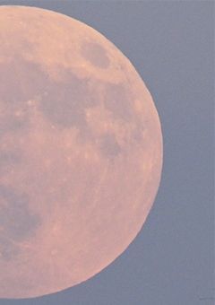 噂ごとき、何になると言うんですの【WT】休載中