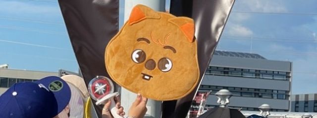 あらむ🐢🤍@雑食どすさんの壁紙画像