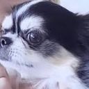 マネヒョン？