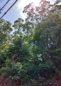 1人の天使と芸人達　　　　　　　～芸能界の裏側～