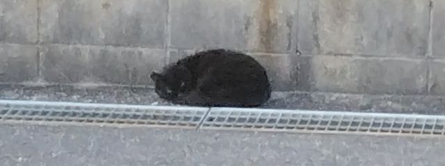 名無しさん．さんの壁紙画像