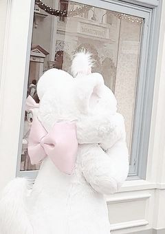 　𝑀𝑖𝑟𝑎𝑐𝑙𝑒