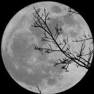 ໒꒱さんのアイコン画像