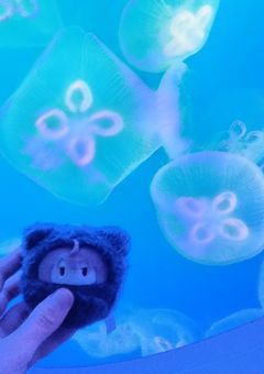 推し活部屋ᡣ𐭩