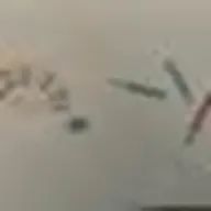 まみゅーさんのアイコン画像