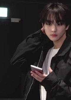 猫な君に恋をした