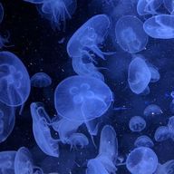 hideroさんのアイコン画像