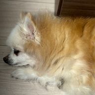 mmab10ve💕💙🎤🎶40↑さんのアイコン画像