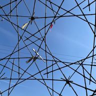 tjm'pjaさんのアイコン画像