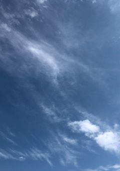 同性愛はいけないことですか？